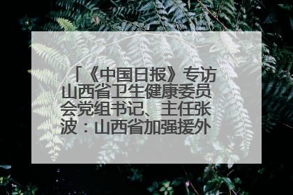 《中国日报》专访山西省卫生健康委员会党组书记、主任张波：山西省加强援外医疗工作 构建中非卫生健康共同体