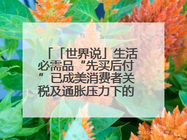 「世界说」生活必需品“先买后付”已成美消费者关税及通胀压力下的无奈抉择