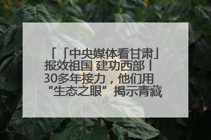 「中央媒体看甘肃」报效祖国 建功西部丨30多年接力，他们用“生态之眼”揭示青藏高原的秘密