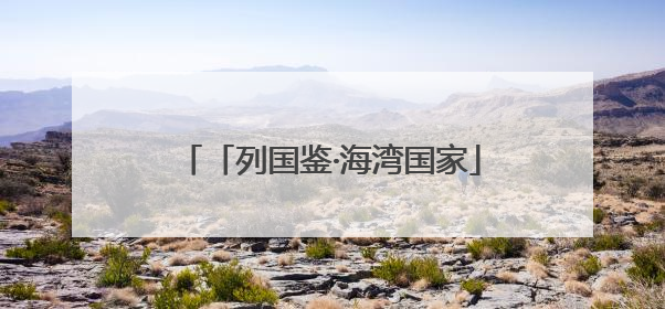 「列国鉴·海湾国家」记者观察：海湾国家努力打造中东“发展样本”