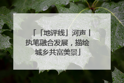 「地评线」河声丨执笔融合发展，描绘城乡共富美景