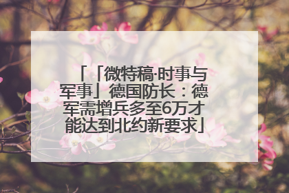 「微特稿·时事与军事」德国防长：德军需增兵多至6万才能达到北约新要求