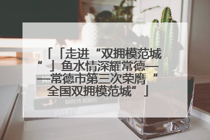 「走进“双拥模范城”」鱼水情深耀常德——常德市第三次荣膺“全国双拥模范城”