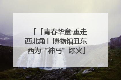 「青春华章·重走西北角」博物馆丑东西为“神马”爆火
