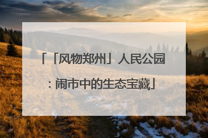 「风物郑州」人民公园：闹市中的生态宝藏