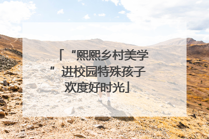 “熙熙乡村美学”进校园特殊孩子欢度好时光