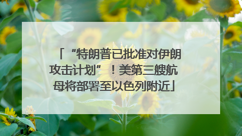 “特朗普已批准对伊朗攻击计划”！美第三艘航母将部署至以色列附近