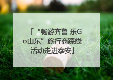 “畅游齐鲁 乐Go山东”旅行商踩线活动走进泰安