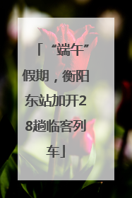 “端午”假期，衡阳东站加开28趟临客列车