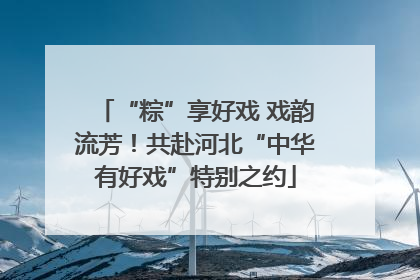 “粽”享好戏 戏韵流芳！共赴河北“中华有好戏”特别之约