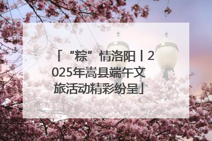 “粽”情洛阳丨2025年嵩县端午文旅活动精彩纷呈