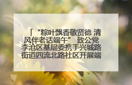 “粽叶飘香敬贤德 清风伴老话端午” 致公党李沧区基层委携手兴城路街道四流北路社区开展端午节主题活动