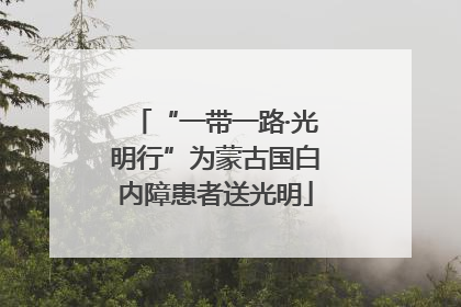“一带一路·光明行”为蒙古国白内障患者送光明