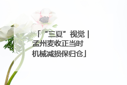 “三夏”视觉｜孟州麦收正当时 机械减损保归仓