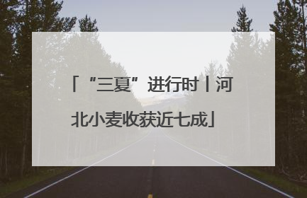 “三夏”进行时丨河北小麦收获近七成