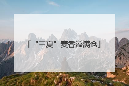 “三夏”麦香溢满仓