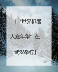 “世界机器人嘉年华”在武汉举行