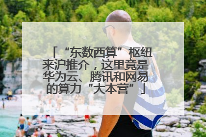 “东数西算”枢纽来沪推介，这里竟是华为云、腾讯和网易的算力“大本营”