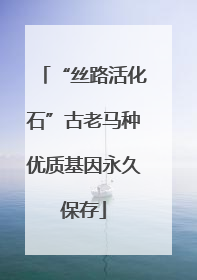 “丝路活化石”古老马种优质基因永久保存