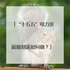 “十五五”电力发展规划该如何做？