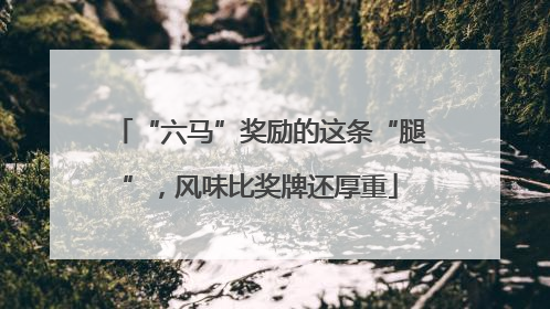“六马”奖励的这条“腿”，风味比奖牌还厚重