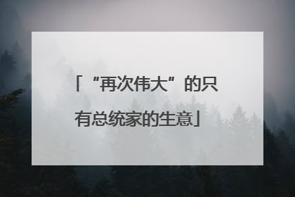 “再次伟大”的只有总统家的生意