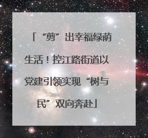 “剪”出幸福绿荫生活！控江路街道以党建引领实现“树与民”双向奔赴
