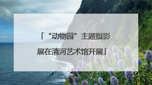 “动物园”主题摄影展在清河艺术馆开展