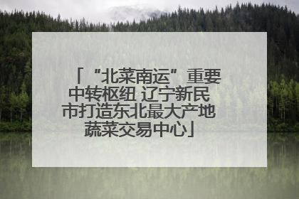 “北菜南运”重要中转枢纽 辽宁新民市打造东北最大产地蔬菜交易中心