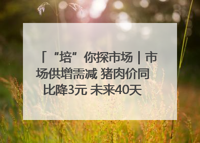 “培”你探市场｜市场供增需减 猪肉价同比降3元 未来40天便宜猪肉敞开吃
