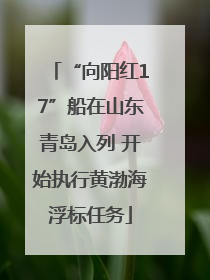 “向阳红17”船在山东青岛入列 开始执行黄渤海浮标任务