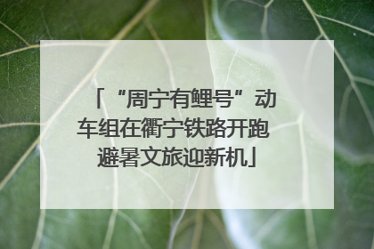 “周宁有鲤号”动车组在衢宁铁路开跑 避暑文旅迎新机