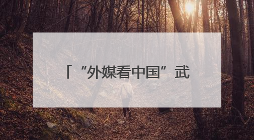 “外媒看中国”武汉段采访活动首站打卡武汉经开区