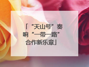 “天山号”奏响“一带一路”合作新乐章