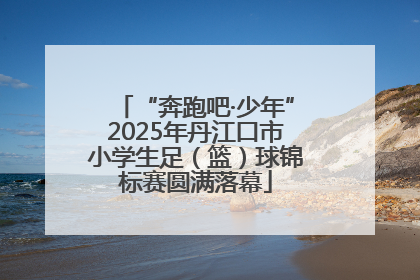 “奔跑吧·少年”2025年丹江口市小学生足（篮）球锦标赛圆满落幕