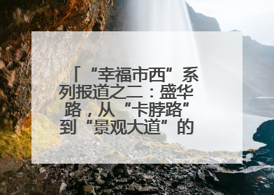 “幸福市西”系列报道之二：盛华路，从“卡脖路”到“景观大道”的华丽转身