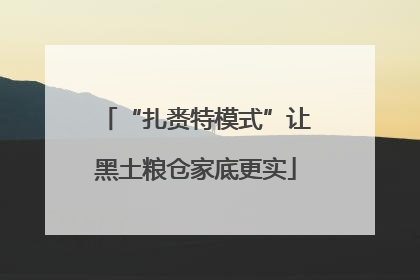 “扎赉特模式”让黑土粮仓家底更实