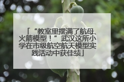 “教室里摆满了航母、火箭模型！”武汉这所小学在市级航空航天模型实践活动中获佳绩