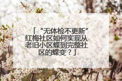 “无体检不更新”红梅社区如何实现从老旧小区蝶到完整社区的蝶变？