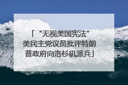 “无视美国宪法” 美民主党议员批评特朗普政府向洛杉矶派兵
