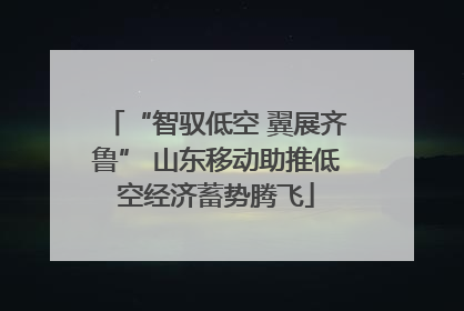 “智驭低空 翼展齐鲁” 山东移动助推低空经济蓄势腾飞