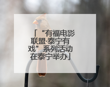 “有福电影联盟·泰宁有戏”系列活动在泰宁举办