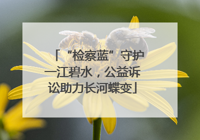 “检察蓝”守护一江碧水，公益诉讼助力长河蝶变