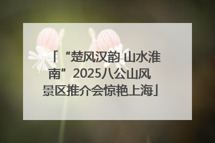 “楚风汉韵 山水淮南”2025八公山风景区推介会惊艳上海