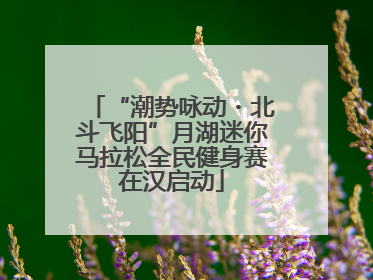 “潮势咏动・北斗飞阳”月湖迷你马拉松全民健身赛在汉启动
