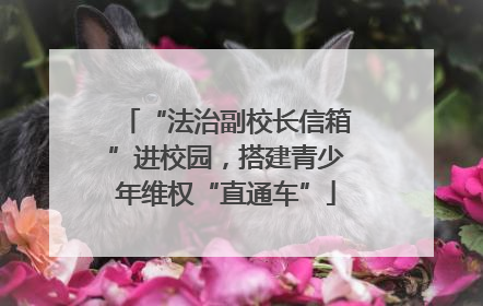 “法治副校长信箱”进校园，搭建青少年维权“直通车”