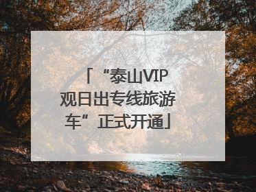 “泰山VIP观日出专线旅游车”正式开通