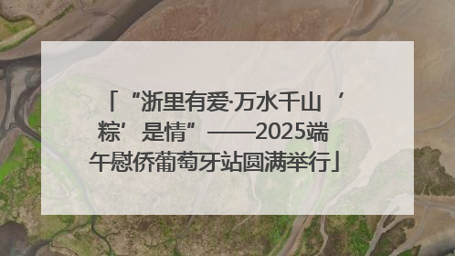 “浙里有爱·万水千山‘粽’是情”——2025端午慰侨葡萄牙站圆满举行