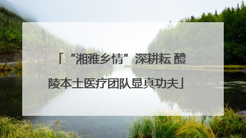 “湘雅乡情”深耕耘 醴陵本土医疗团队显真功夫