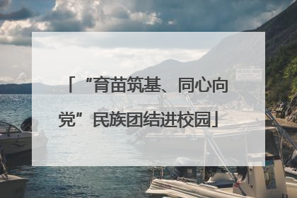 “育苗筑基、同心向党”民族团结进校园